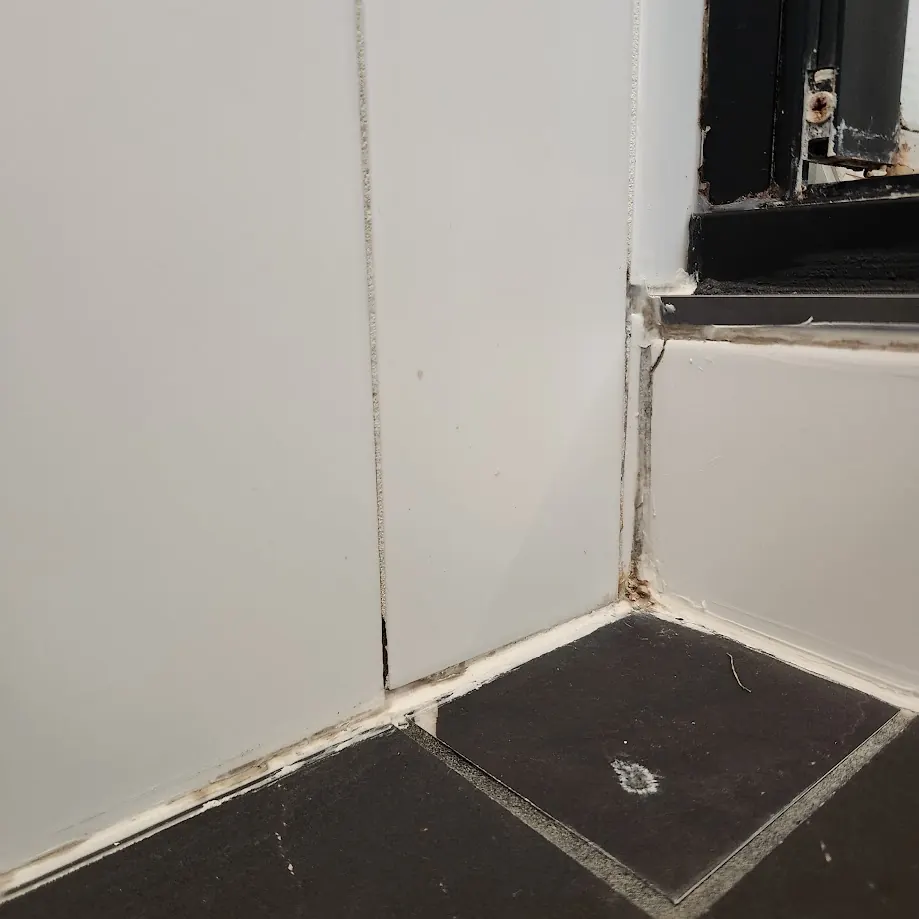 Black mold in the caulk and grout at the base of a tiled shower, next to the shower door track